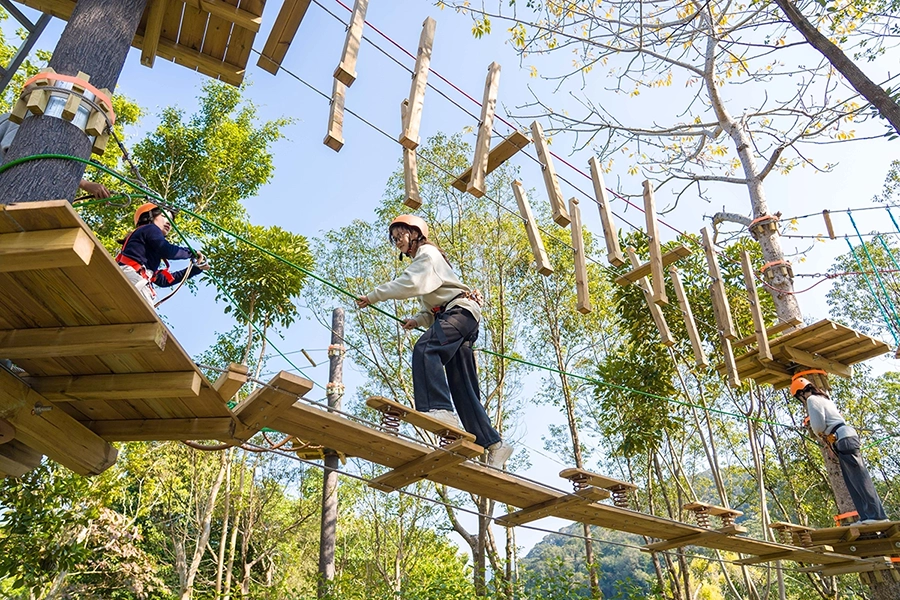 Jungle Crossing 4